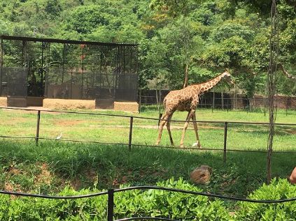 Kambalakonda Wildlife Sanctuary_2